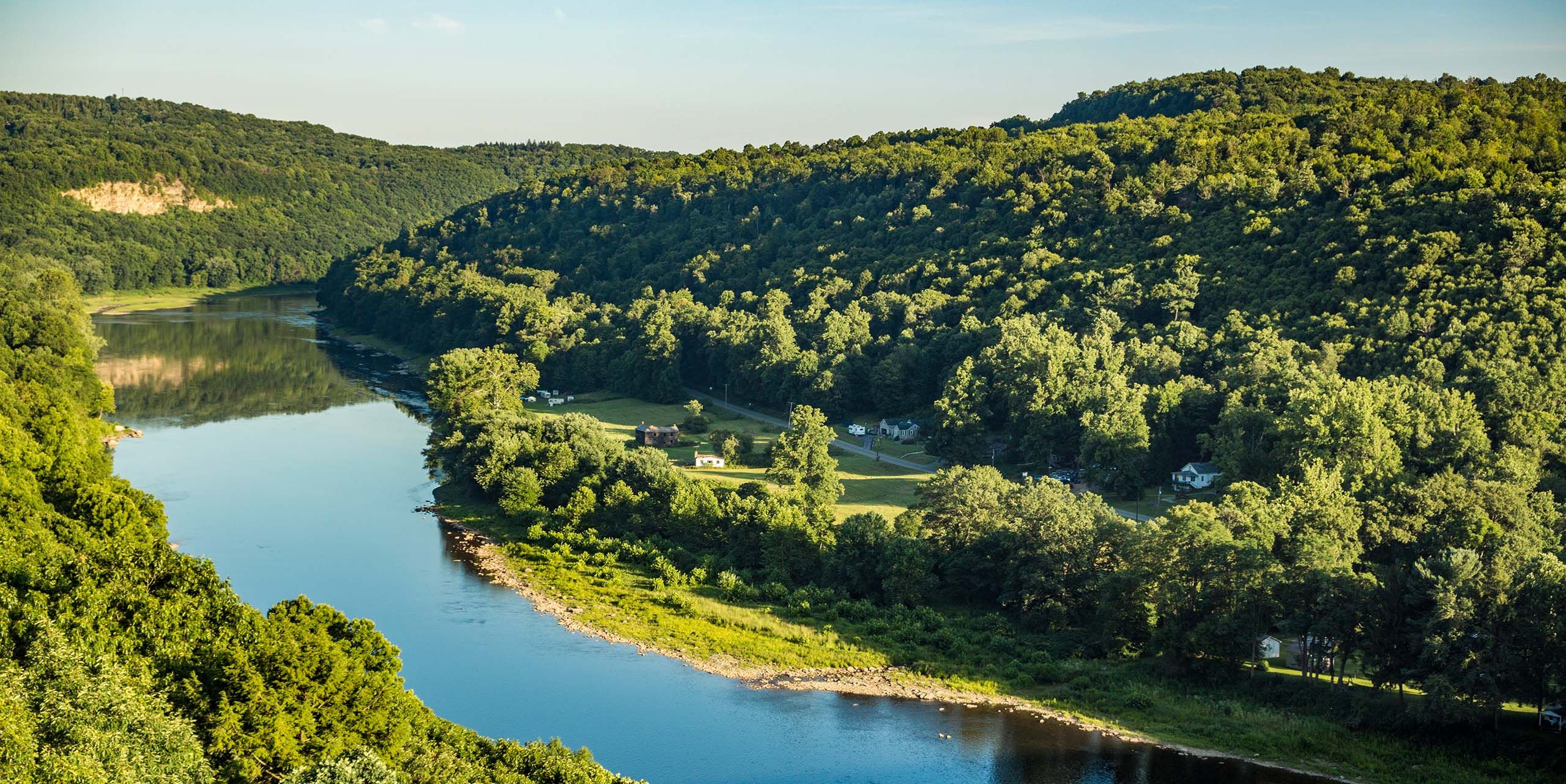 Danzer Linea Veneer Selection